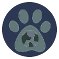 Zootopia
