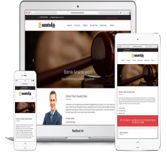 Lawyer Website